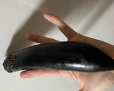 茄子とトマトの白だし漬け ナスは生食OK作り方1写真