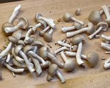 鶏肉ときのこの酒蒸し作り方3写真