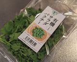 ケバブ風ラム肉のソテーとパクチーのサラダ作り方6写真