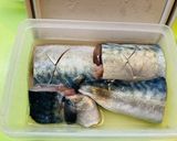 *もろみのチカラで焼きサバ*作り方2写真