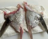 すずきの塩焼き(カマ、腹身、皮)作り方5写真