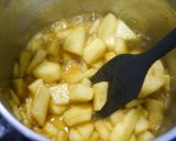 簡単！アップルパイの中　カレー風味作り方3写真