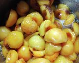 あんずシロップ作り方3写真