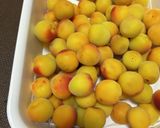 塩分16%梅干し作り方4写真