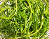 おかひじきと長芋のおかか和え作り方1写真