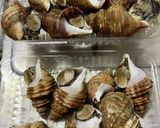 つぶ貝の酒蒸し！作り方1写真