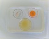 【離乳食中期】たらとにんじんのコンソメ煮作り方1写真