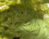 豆乳小豆抹茶蒸しパン作り方2写真