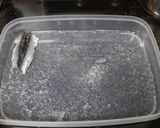 自家製アンチョビ作り方7写真