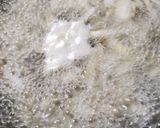 芽いも (里芋の芽)作り方2写真