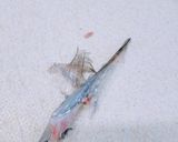 太刀魚の骨で!ぱりぱり素揚げ～魚の駅生地作り方4写真
