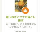 新玉ねぎとツナの落とし揚げ作り方1写真