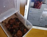 今年こそ（も） 『梅干し』 を漬ける!!作り方1写真