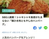 簡単！鶏ひき肉ともやしの照焼きハンバーグ作り方28写真
