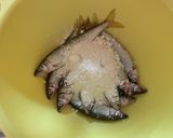 稚鮎の唐揚げ作り方1写真