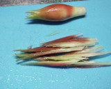 みょうがとオクラの胡麻和え★夏野菜弁当作り方1写真