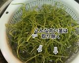 ★おかひじきの中華和え★作り方1写真