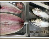 鰯のおろし方 筒切り作り方12写真