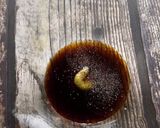 ☆トマトとアボカド塩昆布の旨みサラダ☆作り方1写真