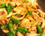 鶏モモ肉とシシトウ玉ねぎのカレー炒め作り方4写真