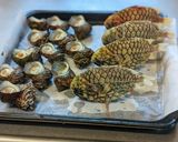 愛知の魚　マツカサウオのオーブン焼き作り方4写真