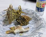 愛知の魚　マツカサウオのオーブン焼き作り方6写真