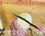 夏野菜を満喫！お好みのお野菜で美人浅漬け作り方3写真