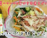 夏野菜を満喫！お好みのお野菜で美人浅漬け作り方10写真
