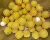 青梅の梅干し　〜追熟の記録〜作り方9写真