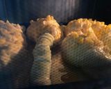 とうもろこしの・まるごと！コーンパン作り方16写真
