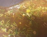 ねぎたっぷり天津飯作り方6写真
