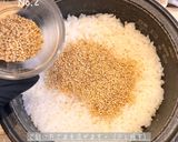 肉巻きおにぎり棒作り方3写真