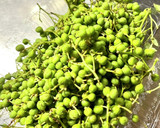 実山椒の下ごしらえ作り方1写真