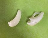 らっきょうの下ごしらえ（下処理）作り方5写真