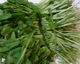 簡単！やみつき♪豆苗の塩昆布ナムル♪作り方1写真