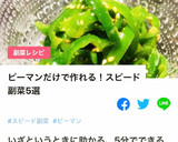 素材を楽しむ♪ ピーマンの浅漬け作り方19写真