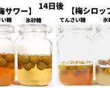 梅シロップ、梅サワー♪てんさい糖、氷砂糖作り方7写真