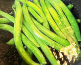 いんげんと紫玉ねぎのゴマだれ和えin鶏皮作り方2写真