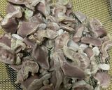 砂ずりのぽん酢かけ♪作り方1写真