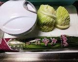 野菜たっぷり野菜餃子作り方1写真