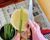 フキの処理方法とゆで方。作り方6写真
