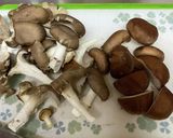 ひらたけと椎茸のバター醤油炒め作り方1写真