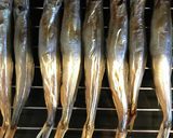 ししゃもの焼き方作り方4写真