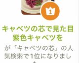 キャベツの芯に近い所で見た目紫色キャベツ作り方11写真