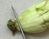 レンチンで簡単焼きナス作り方8写真