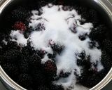 マルベリー（桑の実）ジャム作り方3写真