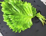 大葉のさっぱり生姜醤油漬け作り方1写真