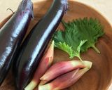 栄養士レシピ*揚げないナスの薬味タレかけ作り方1写真