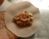 羽根つきパリパリ～ズッキーニ餃子作り方3写真