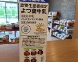 自家製チーズ作り方1写真